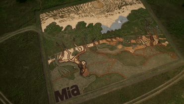 campo-plantado-pintura-van-gogh-olivos-stan-herd