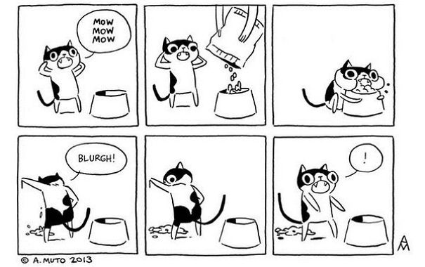 comics-convivir-gatos (10)