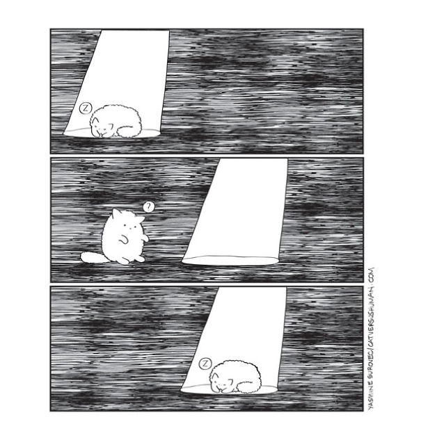 comics-convivir-gatos (23)