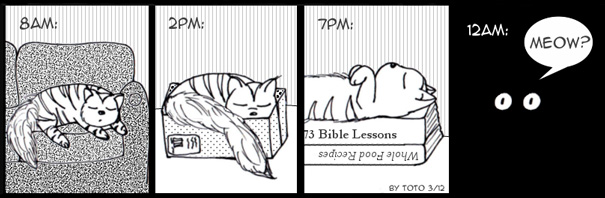 comics-convivir-gatos (5)