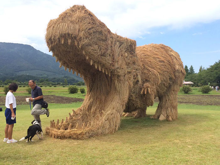 Enormes dinosaurios de paja invaden los campos japoneses tras la cosecha de arroz