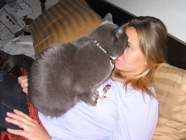 gatos-ajenos-espacio-personal (8)