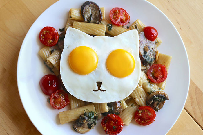 molde-forma-gato-huevos-egg-addiction (7)