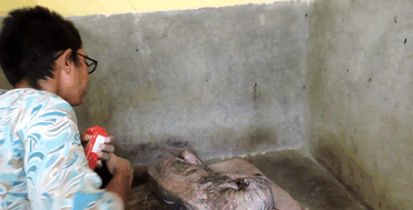perro-enfermo-rescatado-animal-aid-unlimited (1)