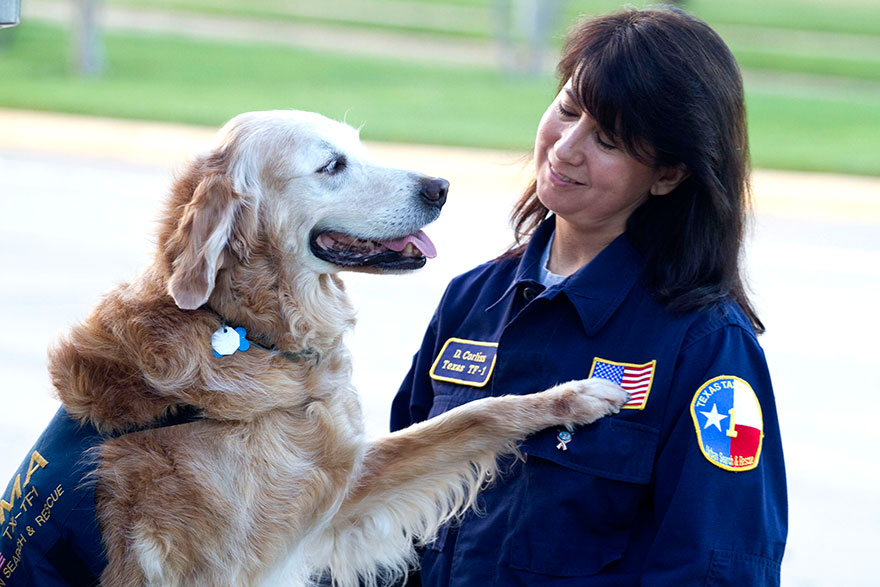 perro-rescate-11s-superviviente-16-cumpleanos-bretagne (1)