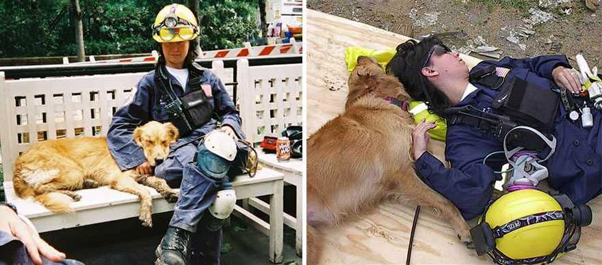perro-rescate-11s-superviviente-16-cumpleanos-bretagne (4)