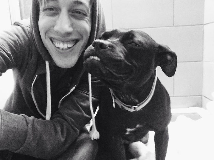 perros-sonrientes (4)