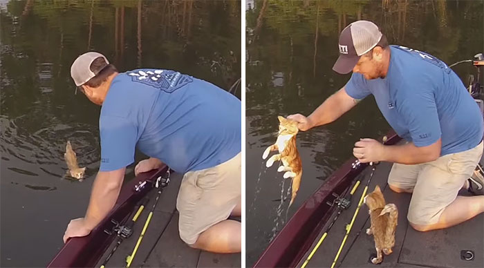 Estos 2 hombres fueron a pescar y acabaron recogiendo gatitos abandonados