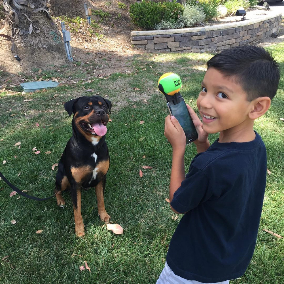 pooch-selfie-accesorio-movil-perros-jason-hernandez (1)