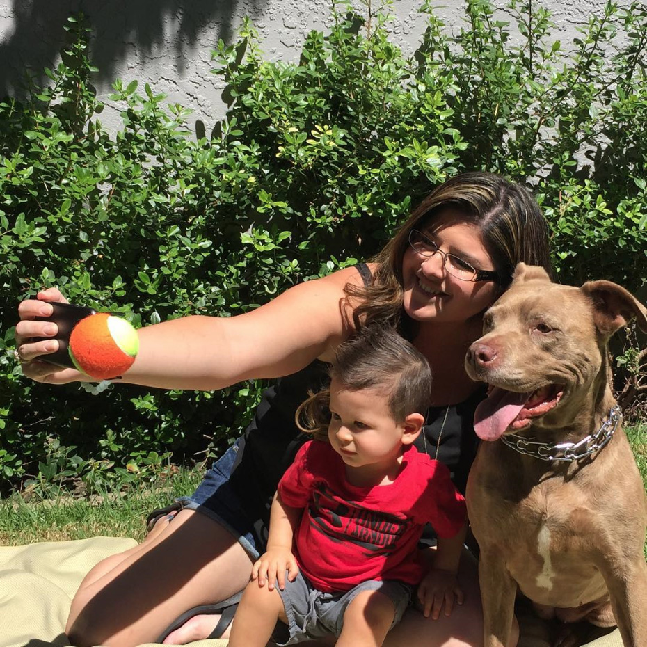 pooch-selfie-accesorio-movil-perros-jason-hernandez (3)