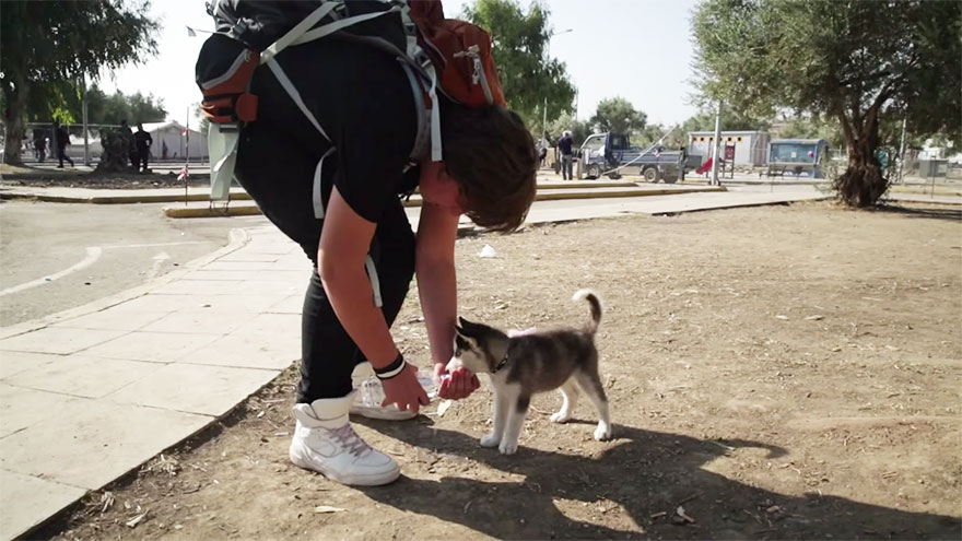 refugiado-sirio-aslan-viaje-grecia-perro-rose (1)