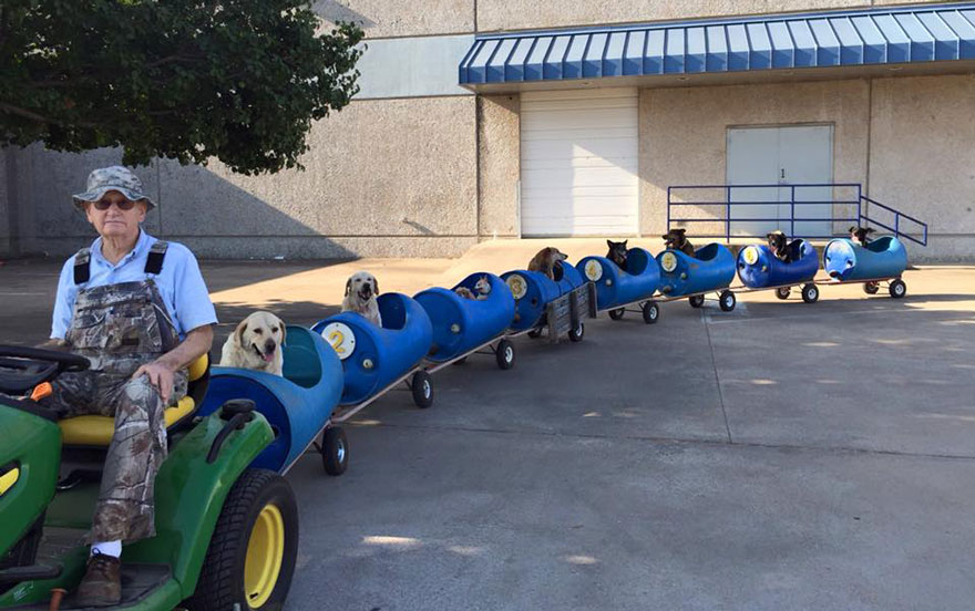 tren-tractor-perros-callejeros-rescatados-eugene-bostick (3)