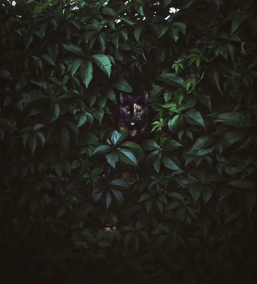 Processed with VSCOcam with m3 preset