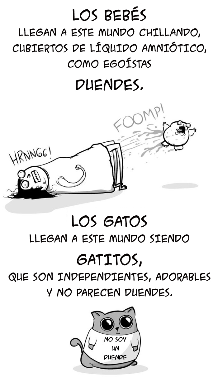 bebes-contra-gatos-oatmeal-2B
