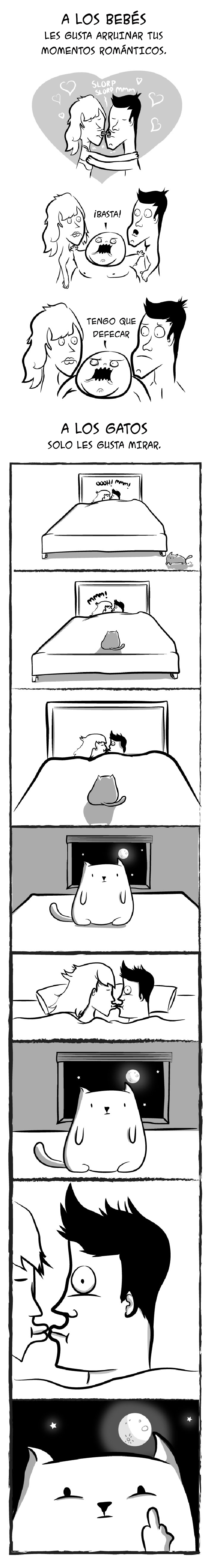 bebes-contra-gatos-oatmeal-6-(2)B