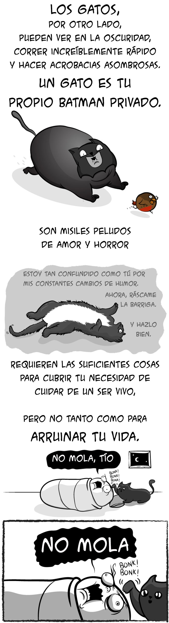 bebes-contra-gatos-oatmeal-8