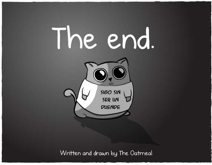 bebes-contra-gatos-oatmeal-9 (2)