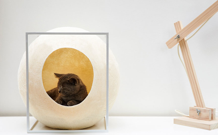 capsula-gatos-meyou-sanchez-gadenne (2)