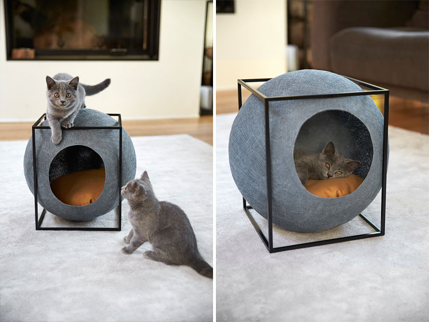 capsula-gatos-meyou-sanchez-gadenne (3)