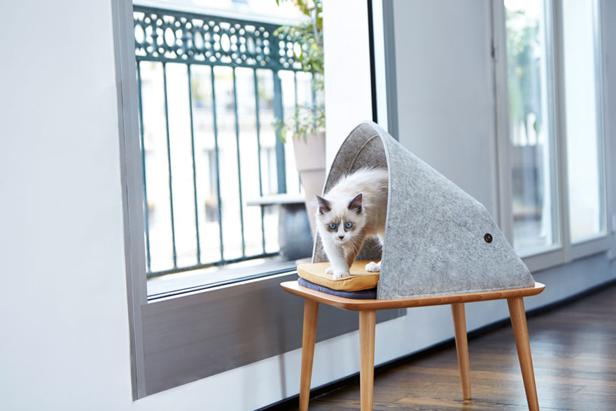capsula-gatos-meyou-sanchez-gadenne (4)