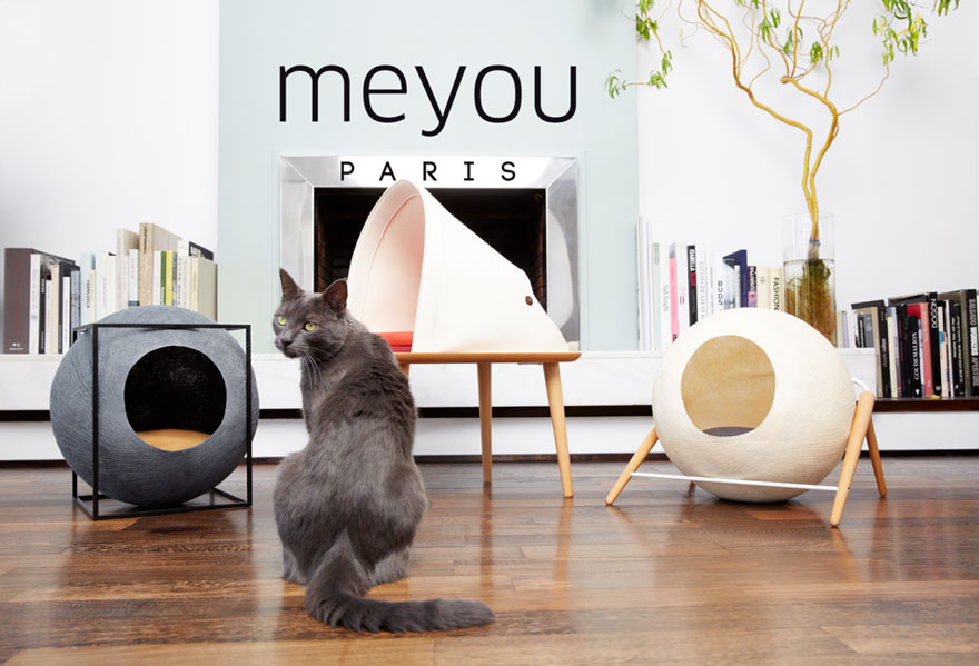 capsula-gatos-meyou-sanchez-gadenne (5)