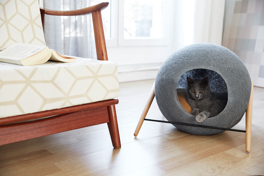 capsula-gatos-meyou-sanchez-gadenne (6)