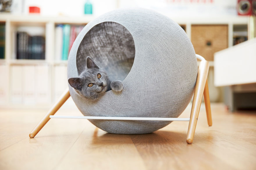 capsula-gatos-meyou-sanchez-gadenne (9)