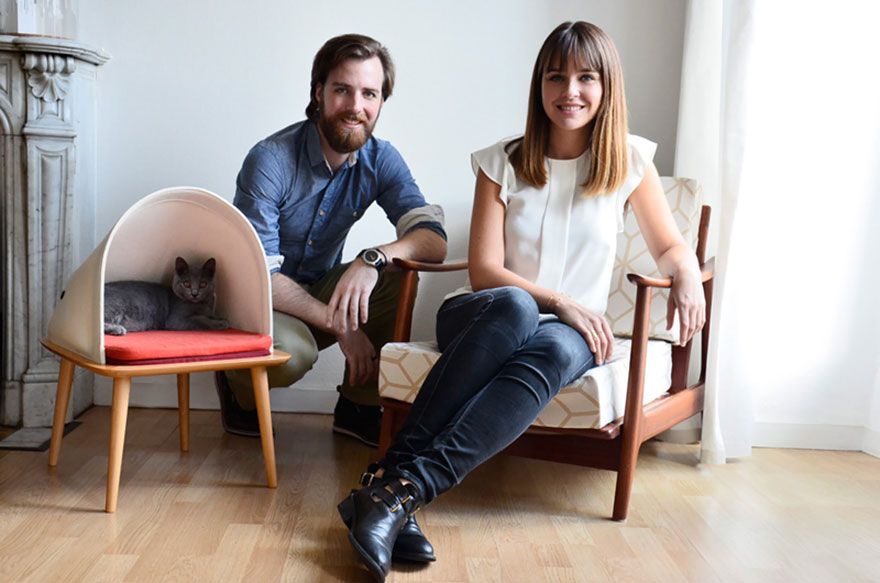 capsula-gatos-meyou-sanchez-gadenne