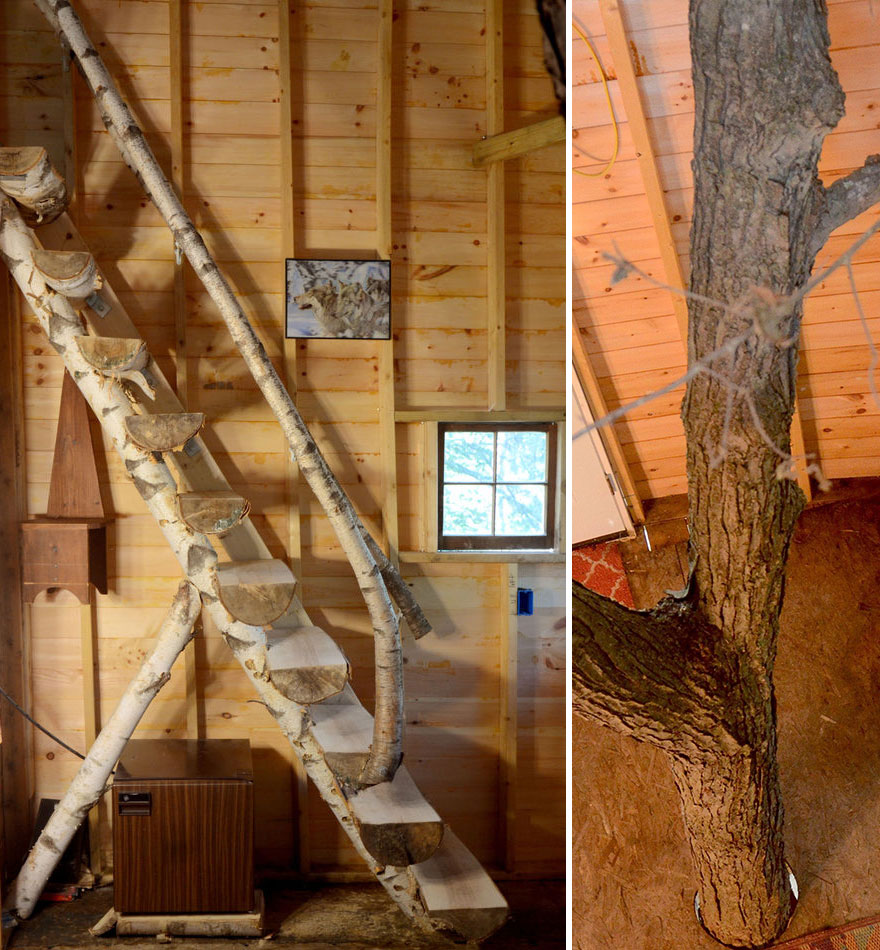 casa-arbol-3-pisos-abuelo-jay-hewitt (4)