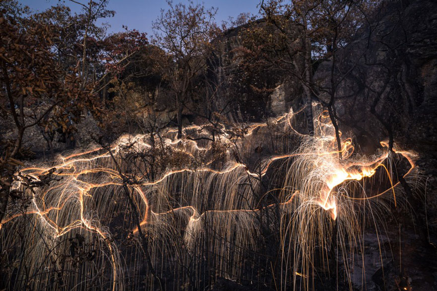 fotos-arboles-fuegos-artificiales-esculturas-impermanentes-vitor-schietti (4)