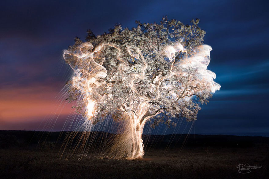 fotos-arboles-fuegos-artificiales-esculturas-impermanentes-vitor-schietti (5)