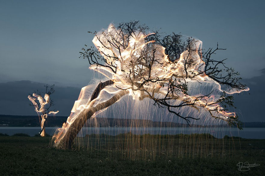 fotos-arboles-fuegos-artificiales-esculturas-impermanentes-vitor-schietti (6)
