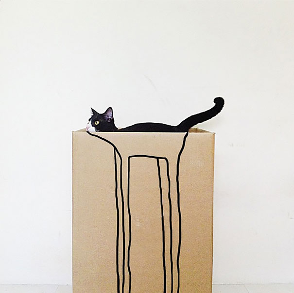 fotos-gatos-momento-justo (19)