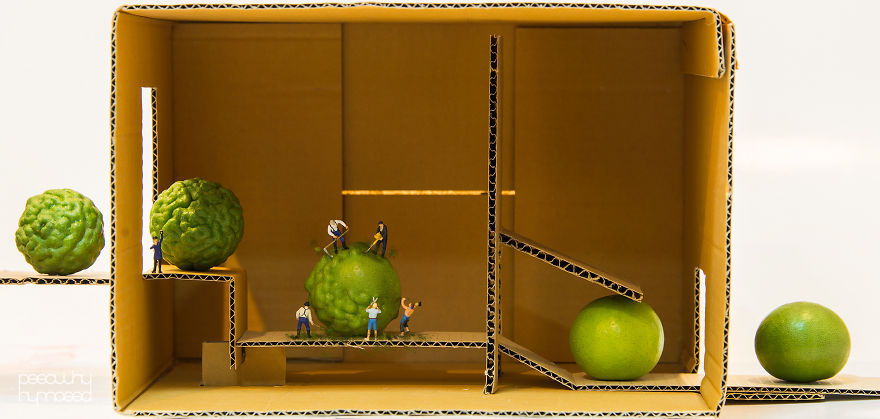 fotos-personas-miniatura-poy (15)
