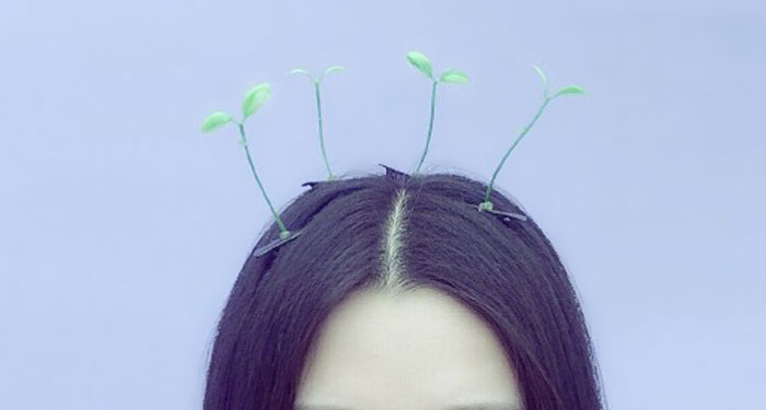 Las horquillas para el pelo con plantas son la última moda en China