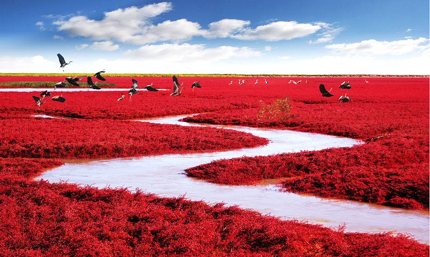lugares-impresionantes-china (7)