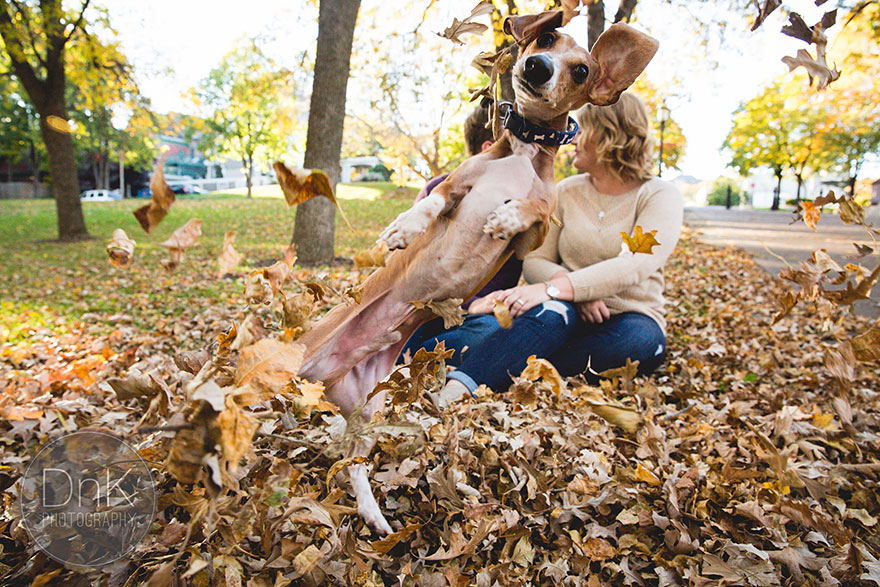 perro-salchicha-photobomb-fotos-compromiso-karin-berdal (2)