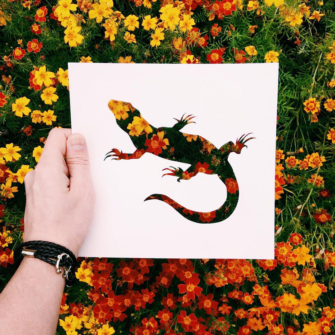 siluetas-animales-paisajes-naturales-nikolai-tolsty (15)