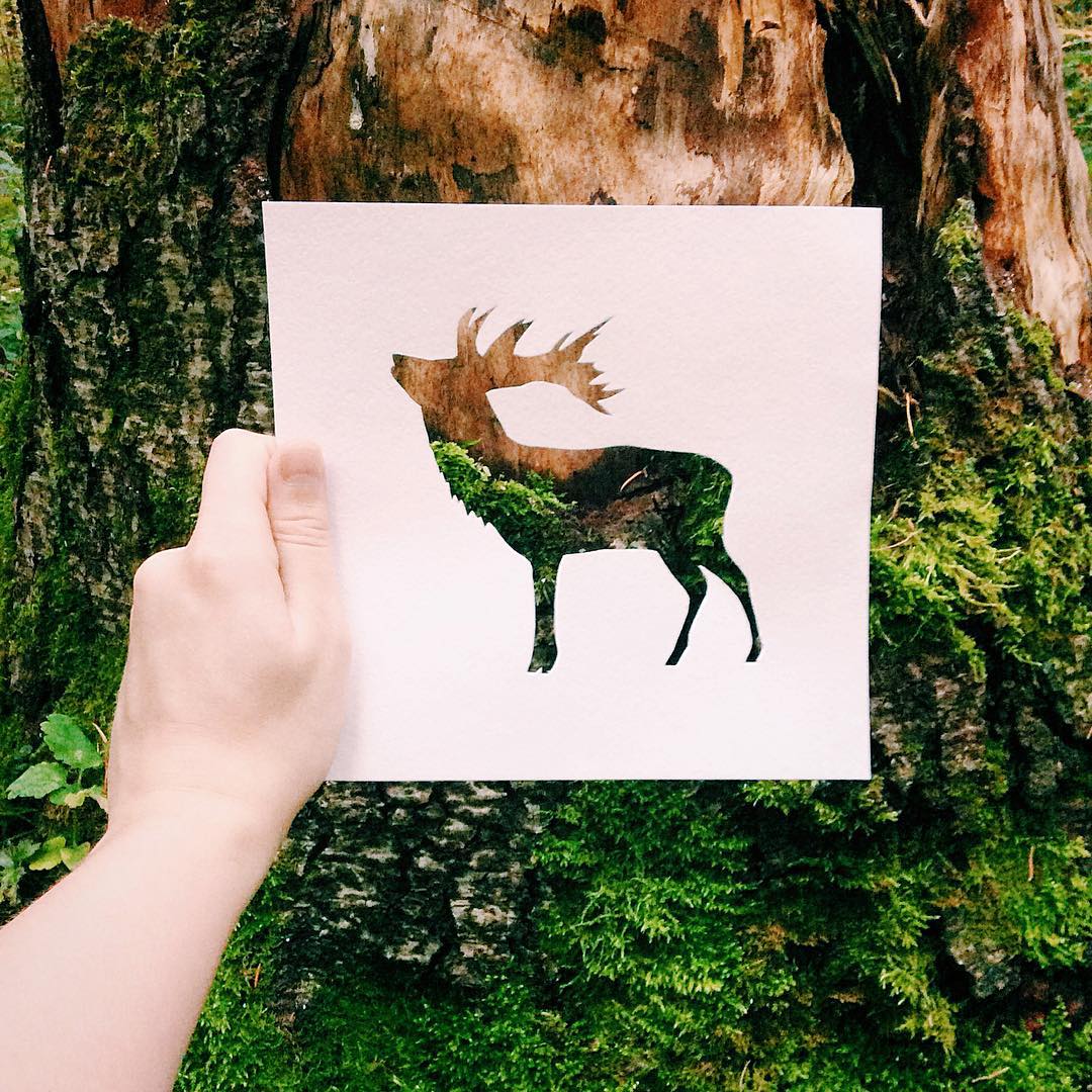 siluetas-animales-paisajes-naturales-nikolai-tolsty (8)