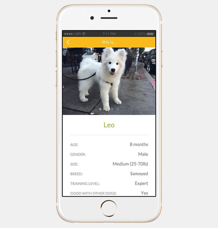 aplicacion-prestar-perros-barknborrow (3)