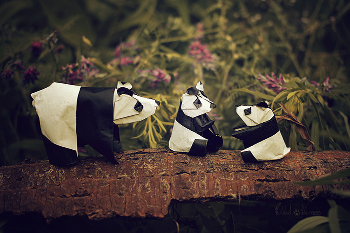 arte-papel-origami (12)