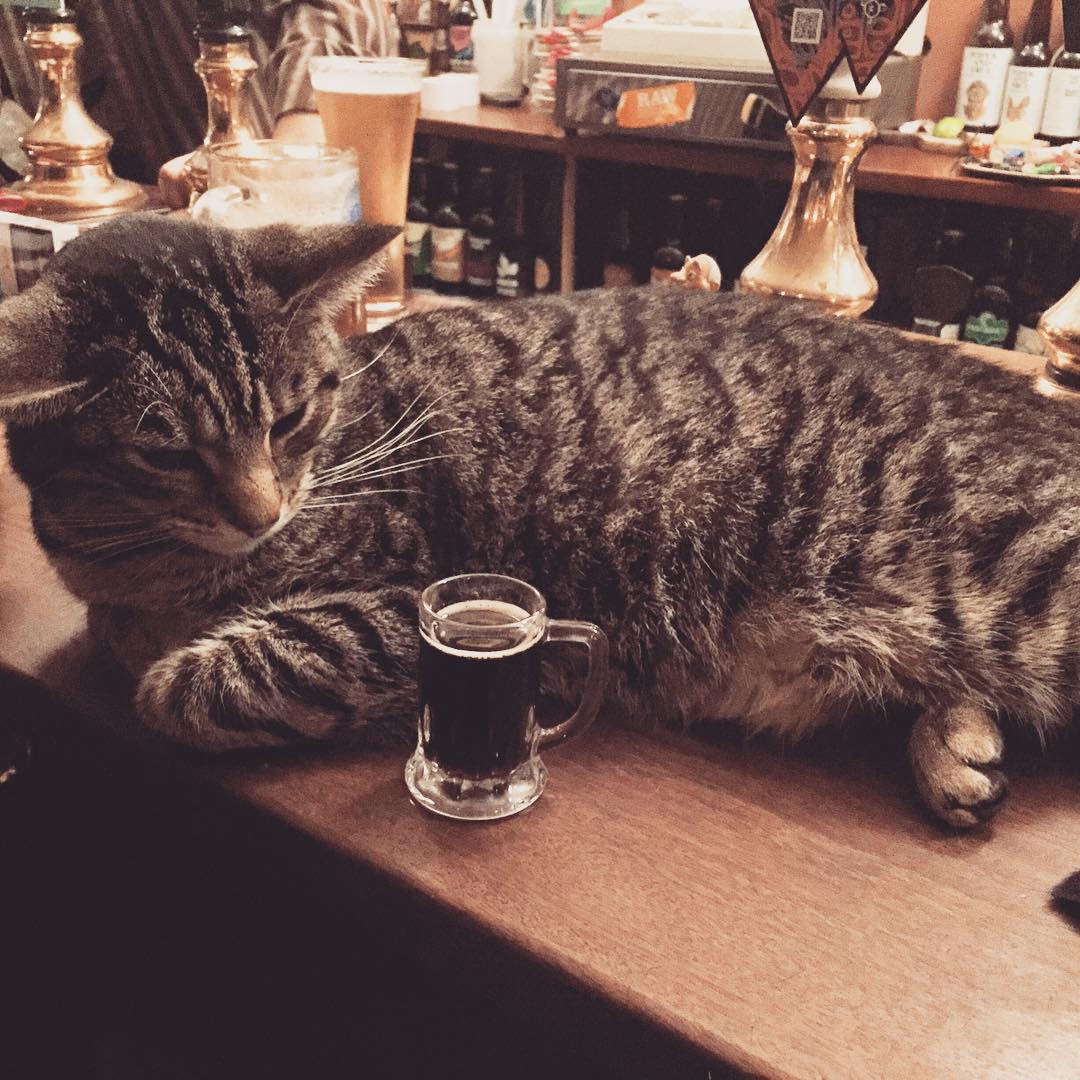 bar-gatos-pub-bag-of-nails-bristol (10)