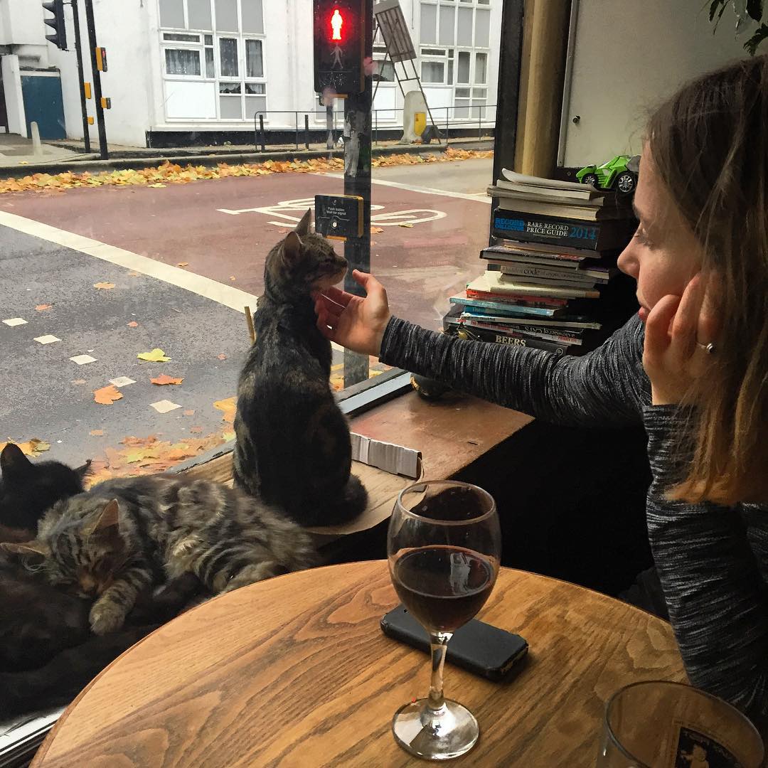 bar-gatos-pub-bag-of-nails-bristol (6)