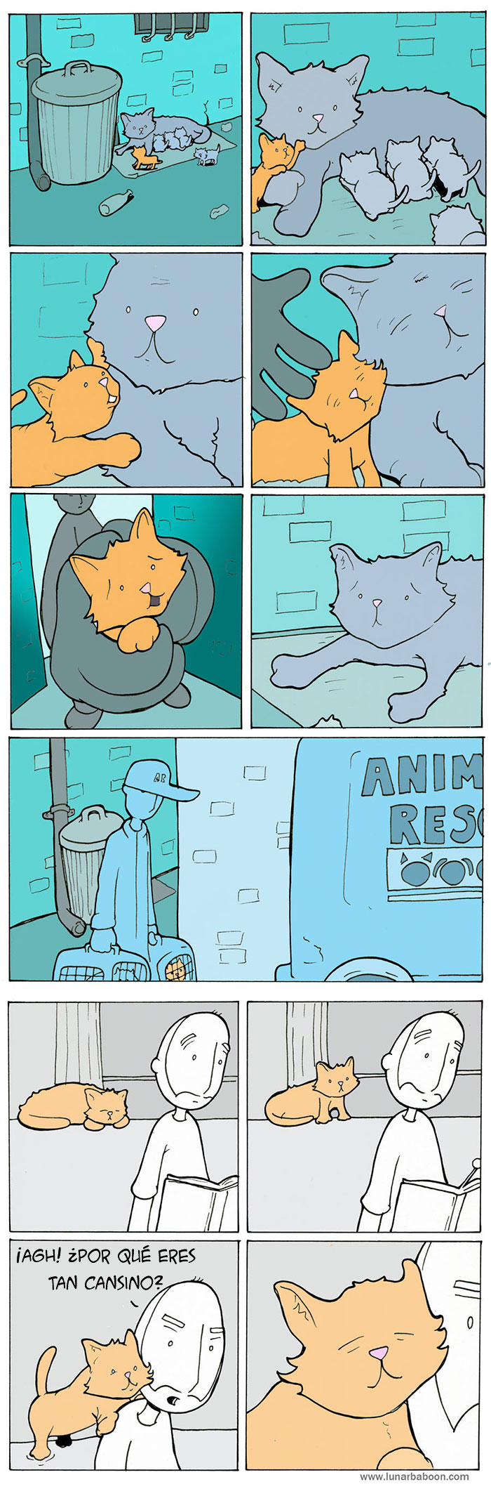 comic-gatos-lunar-baboon (5)
