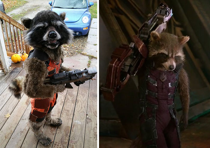 Este disfraz casero de «Los Guardianes de la Galaxia» triunfó en Halloween