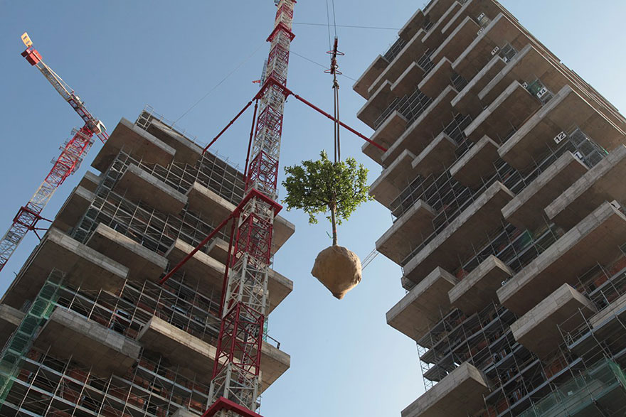 edificio-apartamentos-arboles-torre-cedros-stefano-boeri (6)