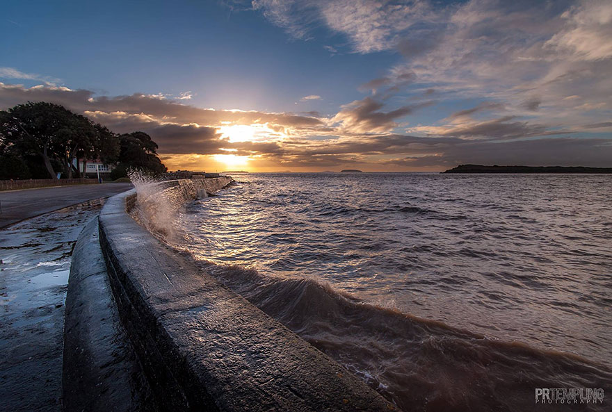 fotografia-naturaleza-gales-paul-templing (13)
