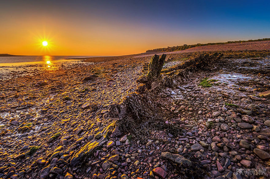 fotografia-naturaleza-gales-paul-templing (9)
