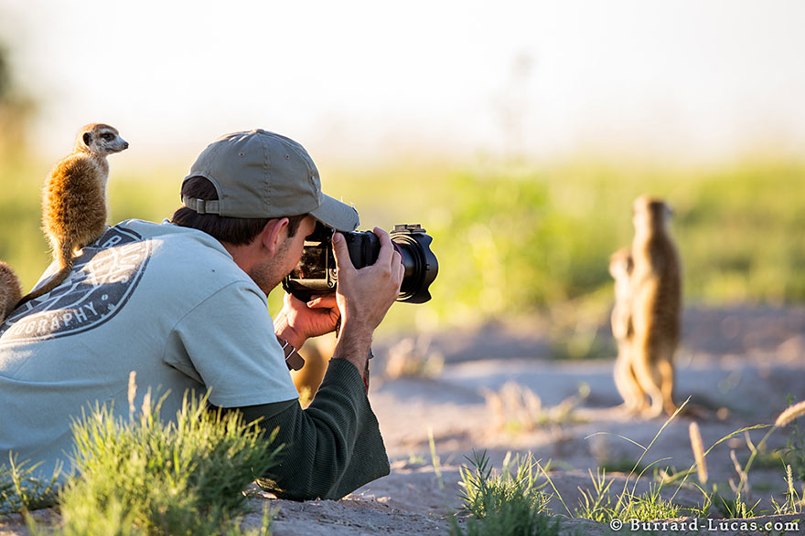 fotografos-naturaleza (19)
