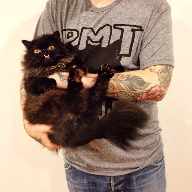 gato-rescatado-princess-monster-truck (1)